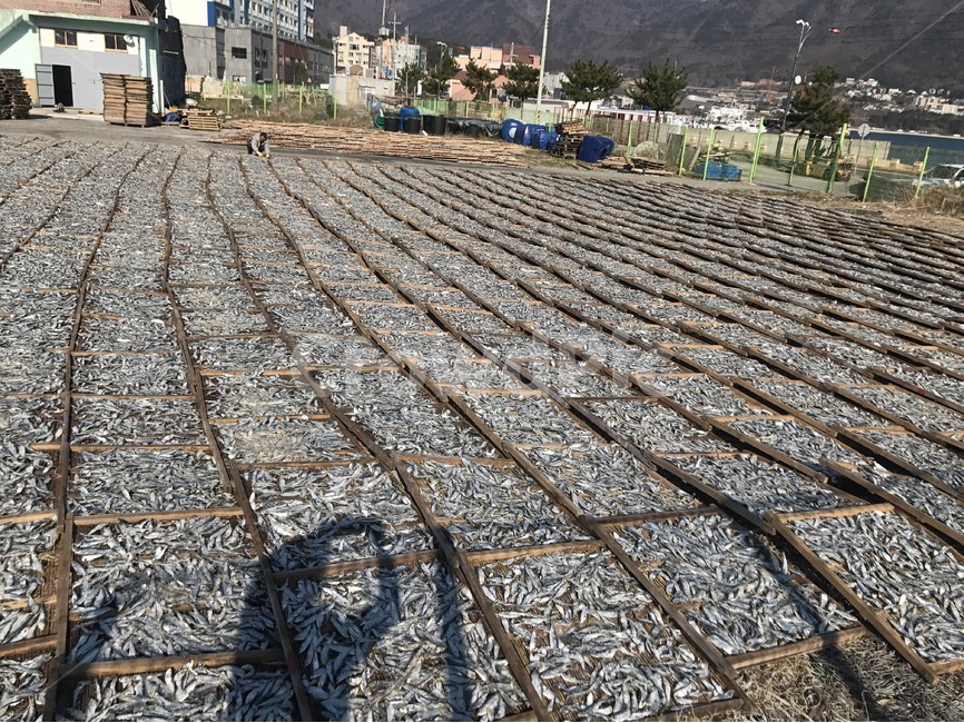 어촌,풍경,바다,배경,디포리,시골,마을,풍경,landscape,country,rural,town,산업,industry,industrial,어업,fishery,fishing industry