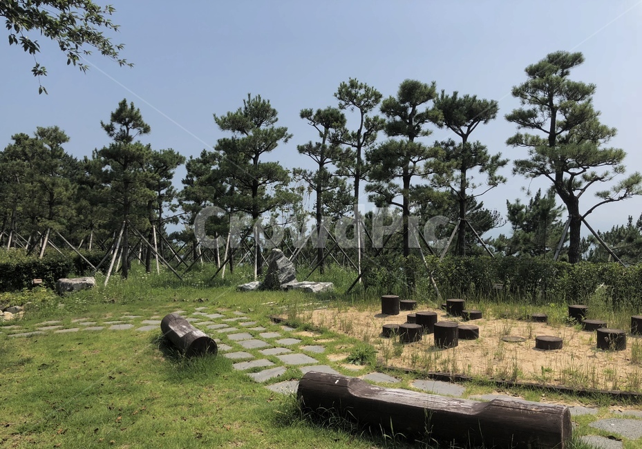 나무,산책길,정원,하늘,날씨,여름,잔디,풀,자연,풍경