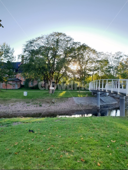 산책길,감성,햇빛,나무,아침,자연,풍경,nature,landscape,water,물,plant,식물,grass,잔디,outdoors,옥외