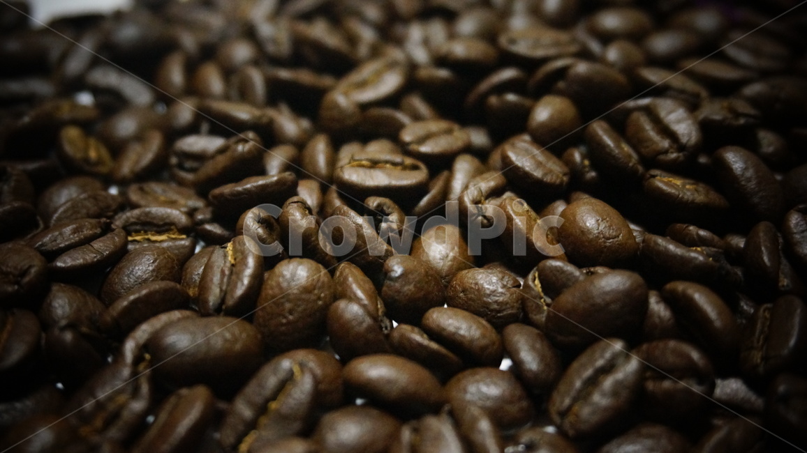 원두,원두커피,로스팅,커피,cafe,드립커피,스코트레버러토리,워시드방식,커피,카페,coffee,cafe