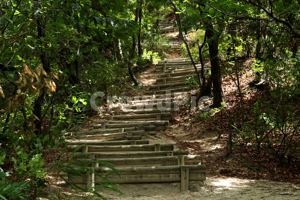 계단,나무계단,stairs,woodstairs,산책로