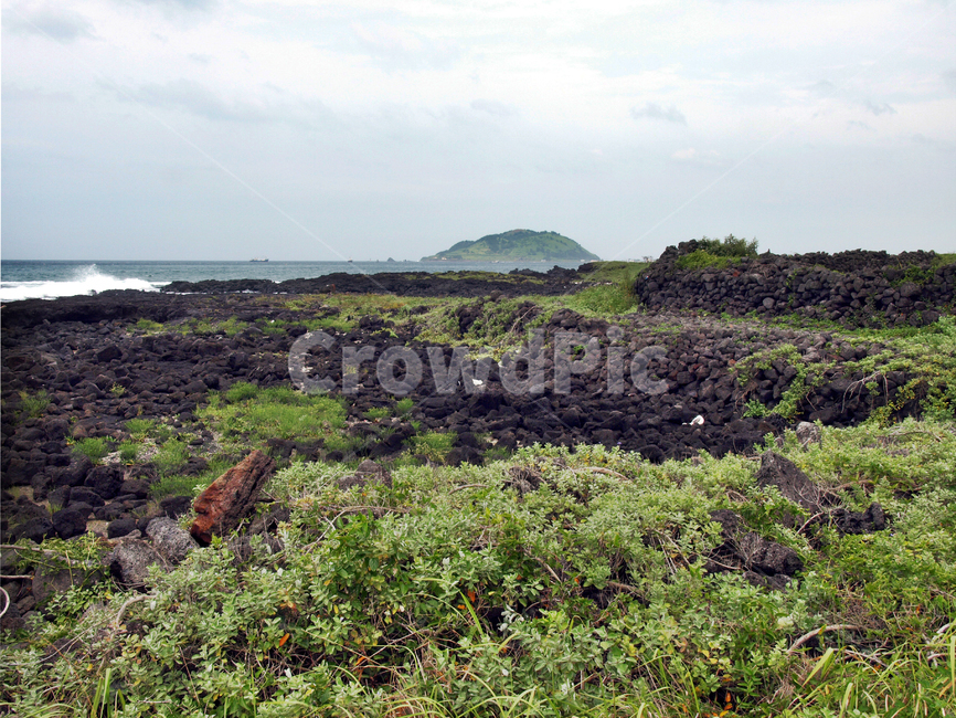 해녀콩서식지,해안길,제주,올레14코스,올레길,돌담,자연,풍경,nature,landscape,제주도,jeju,jeju island,slope,경사,outdoors,옥외