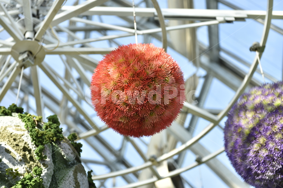 round object,decoration,flower