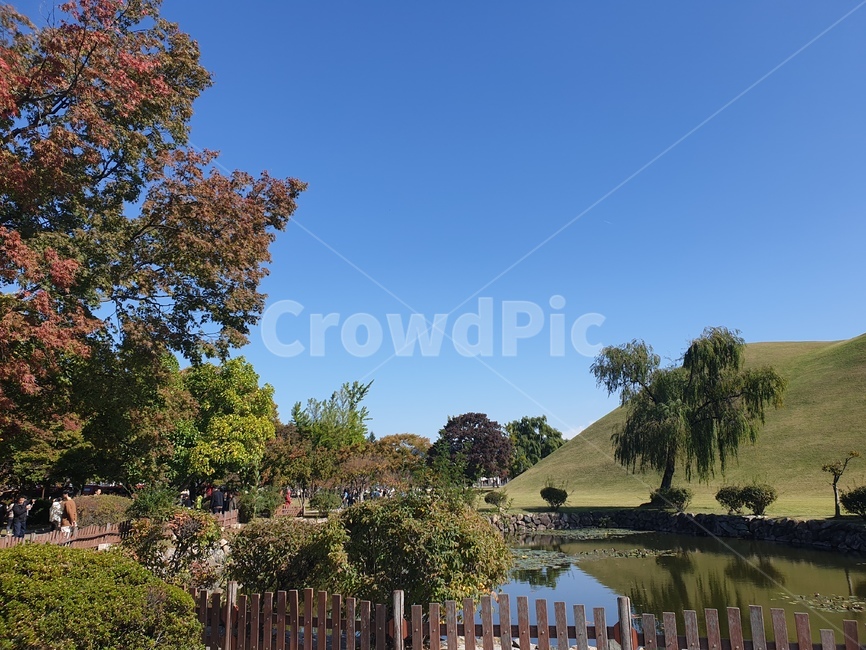 outdoors,옥외,grassland,목초지,field,대릉원,경주,나무,연못,단풍,자연,풍경,nature,landscape