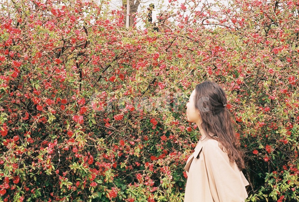 plant,식물,사람,human,옆모습,봄,apparel,의복,clothing