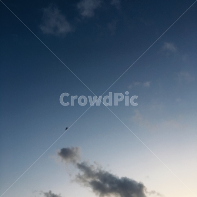 푸른하늘,구름,sky,nature,weather,하늘,가을,가을하늘,날씨,감상,색체,힐링,맑음
