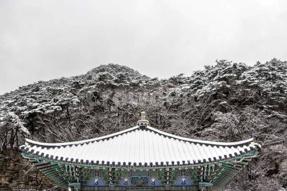 사진,단독사진,디자인,소스,포토,사진자료,배경,배경사진,백그라운드,한국,동양,아시아,접사,근접,자연,겨울,눈,얼음,경치,설경,Landscape,날씨,눈꽃,겨울배경,지붕,사찰,폭설,산,기와,전통지붕,전통기와,풍경,눈풍경,겨울풍경,고궁,절,궁궐,겨울,계절,winter,season,한국전통,한국문화,korean traditional,korean culture