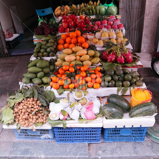 과일,야채,채소,plant,식물,과일,열매,fruit