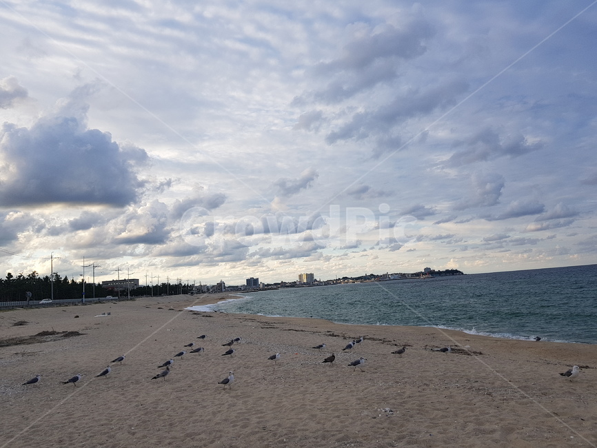 바다,동해,동해안,바닷가,동해바다,해변,바다,beach,sea