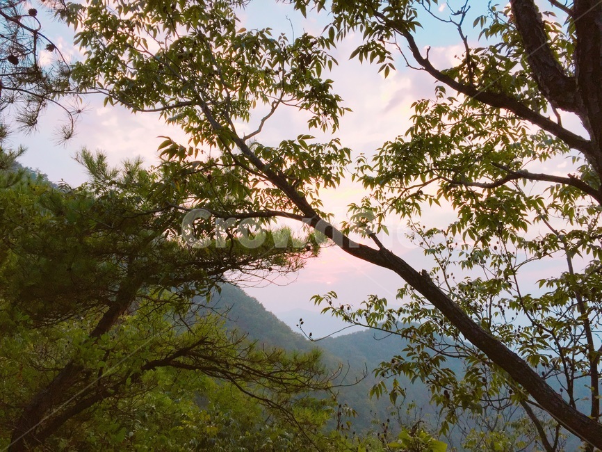 산,제천,노을,풍경,힐링,경치