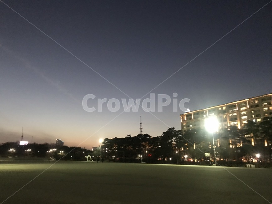 여의도공원,야경,노을,개와늑대시간,겨울퇴근길,서울공원,저녁풍경,여의도,seoul,야경,밤,풍경,nightscape,night,landscape,flare,플레어,light,빛