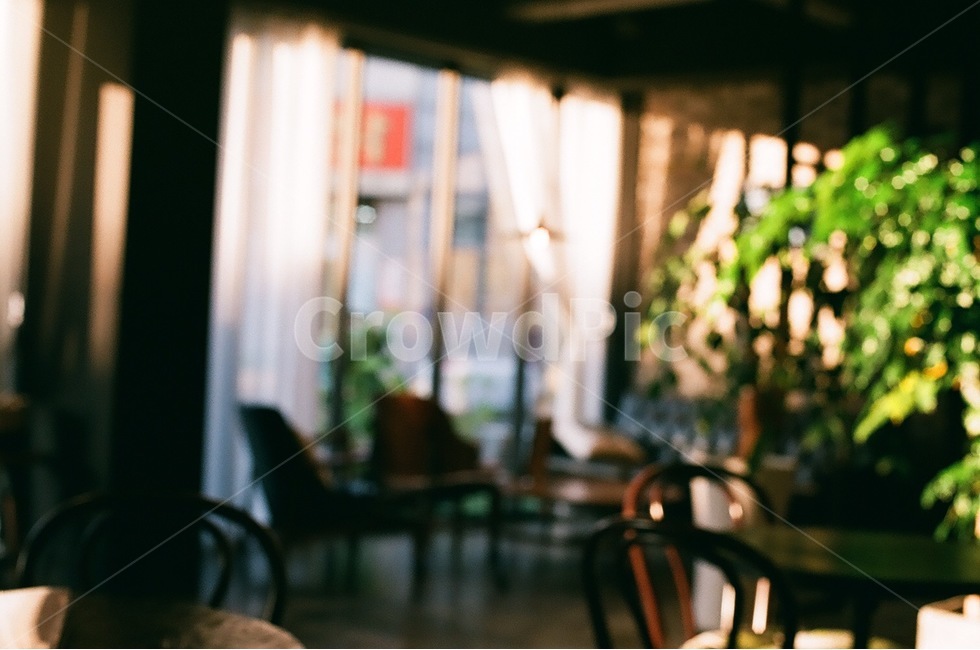 카페,나른한,조용한,여유,cafe,한적한,커피,카페,coffee,cafe,감성,sensible,feeling,인테리어,실내디자인,interior design