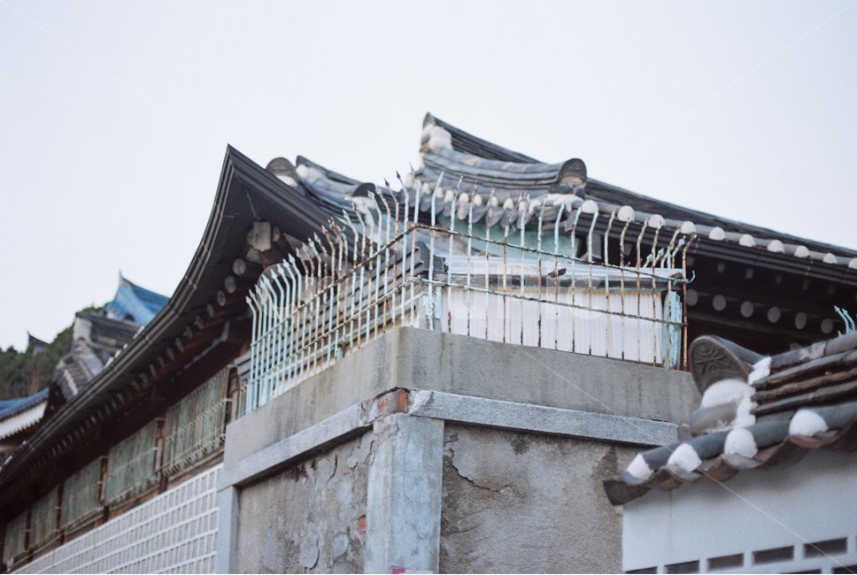 지붕,한옥,골목,오래된집,한옥마을,건축물,건물외관,exterior,building,structure,architecture,construction