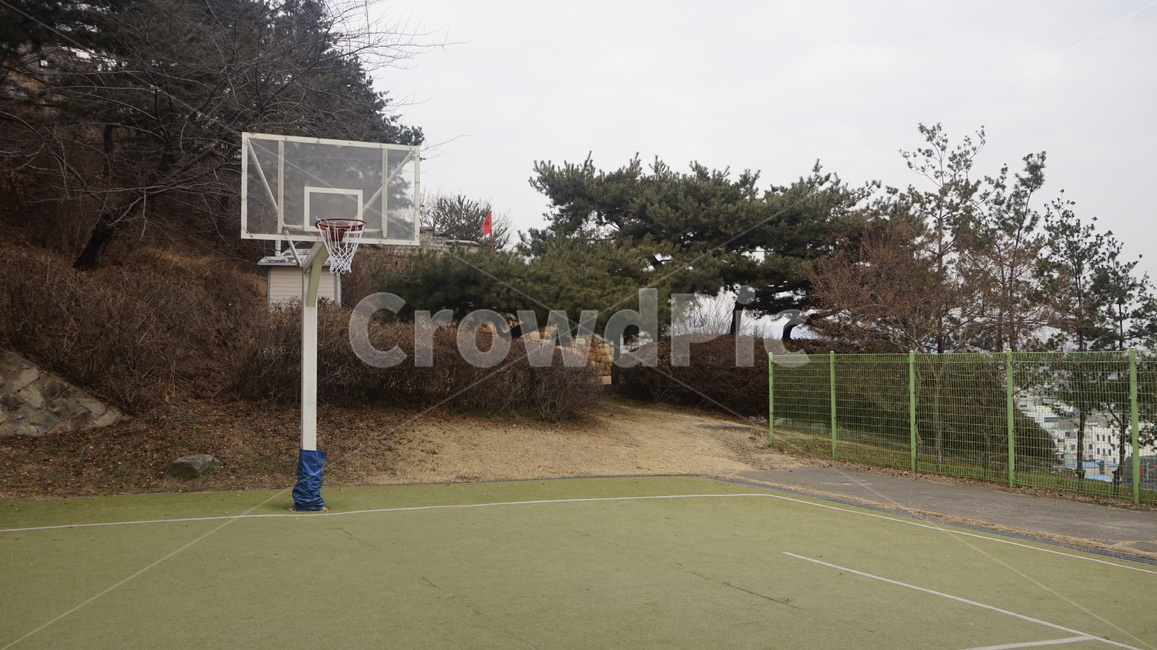 sport,team,팀,sports,스포츠,teamsport,단체경기,basketball,농구,basketballcourt,농구장,스포츠,레저,운동,sports,leisure,exercise