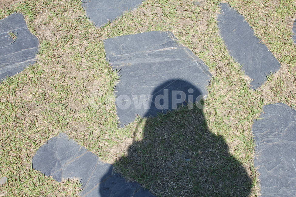 잔디,그림자,shadow,여자그림자,돌,stone,grass,인물실루엣,사람실루엣,character silhouette,human silhouette,flagstone,판석