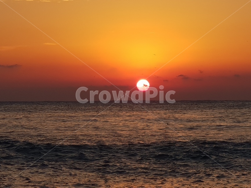 일출,바다일출,새해,해돋이,신년,자연,풍경,nature,landscape,outdoors,옥외,sunlight,햇빛,dusk,황혼,sunset,일몰,sky,하늘,dawn,새벽,red sky,붉은 하늘