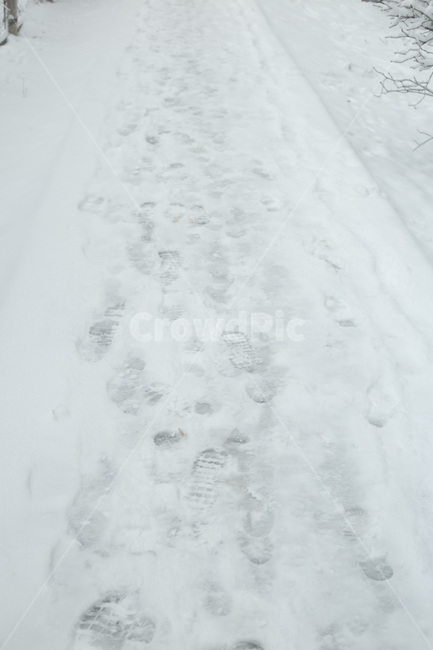 발자국,눈,겨울,snow,winter,겨울,계절,winter,season
