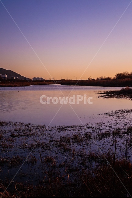 삼락강변공원,강,노을,물,풀,하늘,공원,자연,풍경,nature,landscape,water,outdoors,옥외,land,땅