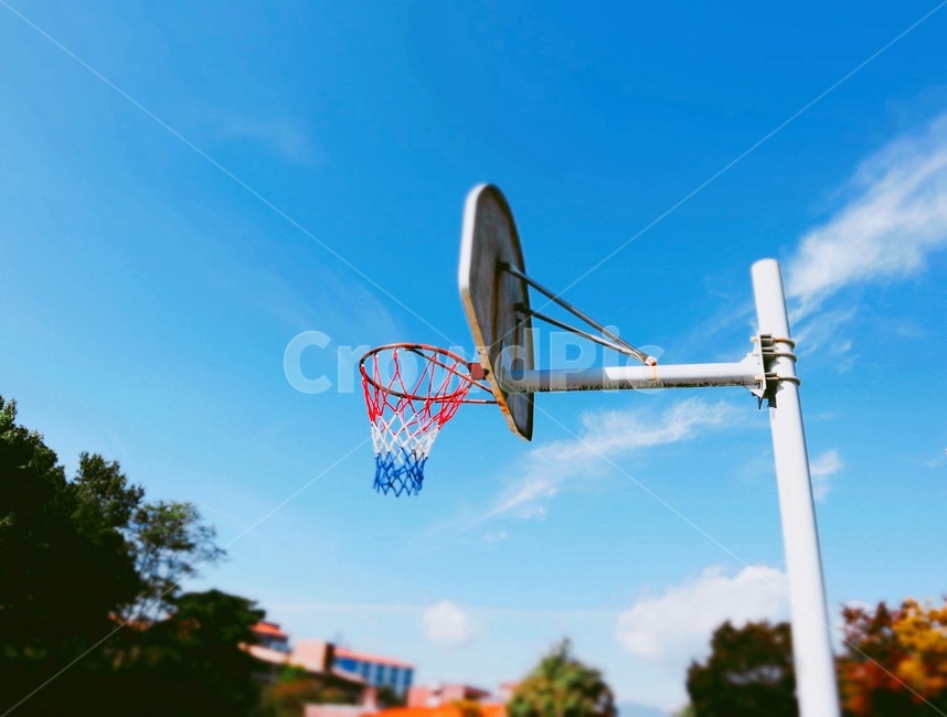 농구대,가을,하늘,가을하늘,나무,스포츠,레저,운동,sports,leisure,exercise