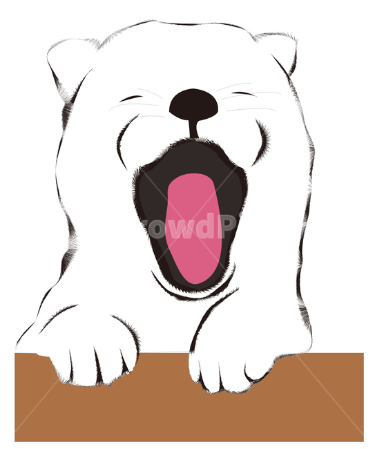 Sleeping,Baekgu,puppy,Jindo dog,bowwow,native dog,white puppy,cute,Korean dog