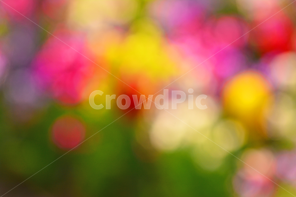 봄,색감,감성,분위기,느낌,벡그라운드,emotion,feeling,sensible,칼라풀,색상,화려한,colorful,season,시즌,계절,보케,빛망울,몽환적,그라데이션,gradation,art,번짐,혼색,다양한,노랑,빨강,핑크,분홍,그린,녹색,봄배경,background,바탕,배경