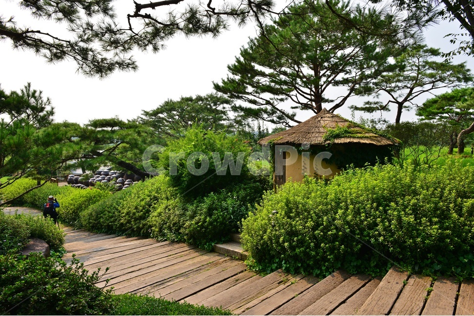 자연,nature,outdoors,옥외,scenery,풍경,landscape,경치,경기,안성,서일농원,garden,정원,plant,식물,grass,잔디,tree,나무,treetrunk,나무줄기,정자,계단,길,boardwalk,산책로
