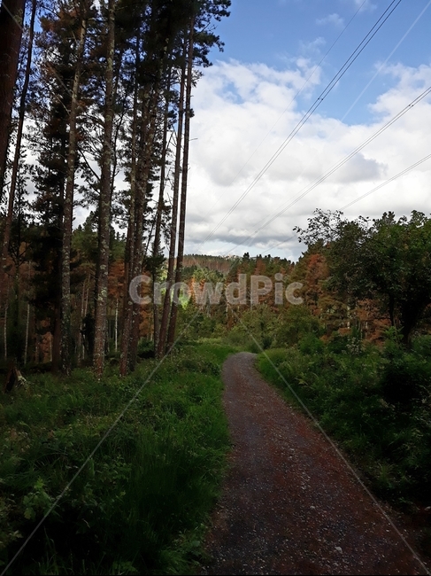 dirtroad,흙길,road,도로,gravel,자갈,ground,바닥,산티아고순례길,camino,mountain,산,스페인,spain