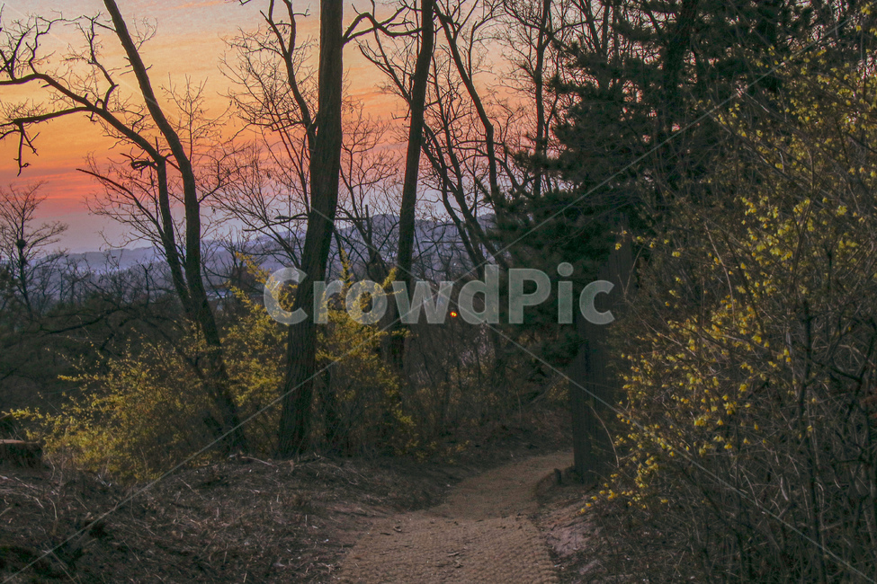 노을,산책로,등산로,산책길,일출,sunset,magichour,매직아워,해넘이,해돋이,산,북악산