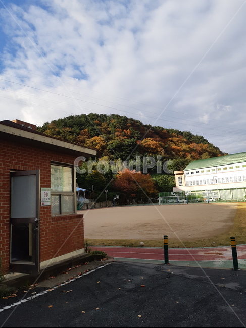 하늘,학교,산,단풍,자연,운동장,가을,동아공업고등학교