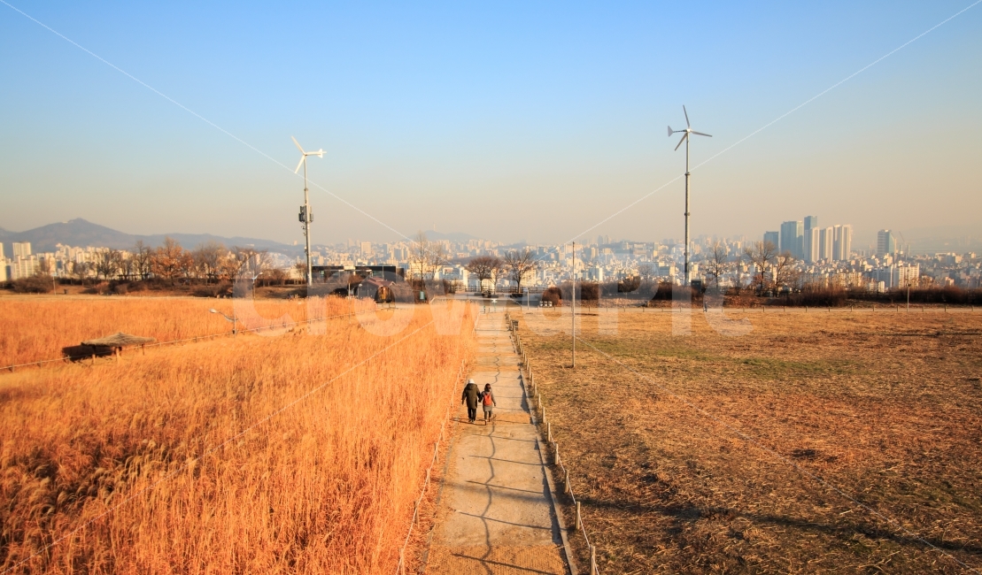 연인,커플,공원,하늘공원,억새,들판,겨울,도시,서울,도심,풍력발전기,발전기,조용한,평화로운,분위기,감성,감성사진,겨울,계절,winter,season,사람,인물,인간,human,person,연인,커플,사랑,lover,couple