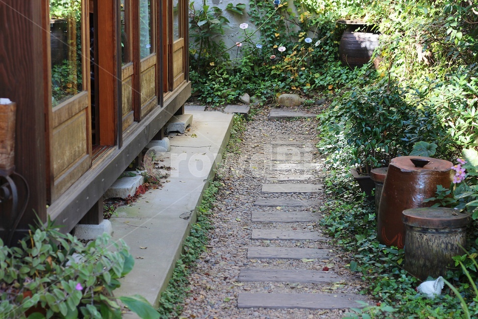 한옥,나무,식물,항아리,판석,flagstone,녹색,갈색,돌,풀