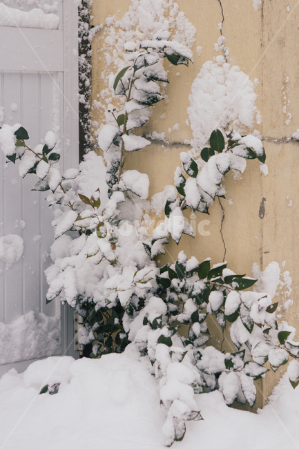 눈,snow,겨울,눈사람,창문,눈길,나무,nature,겨울,계절,winter,season