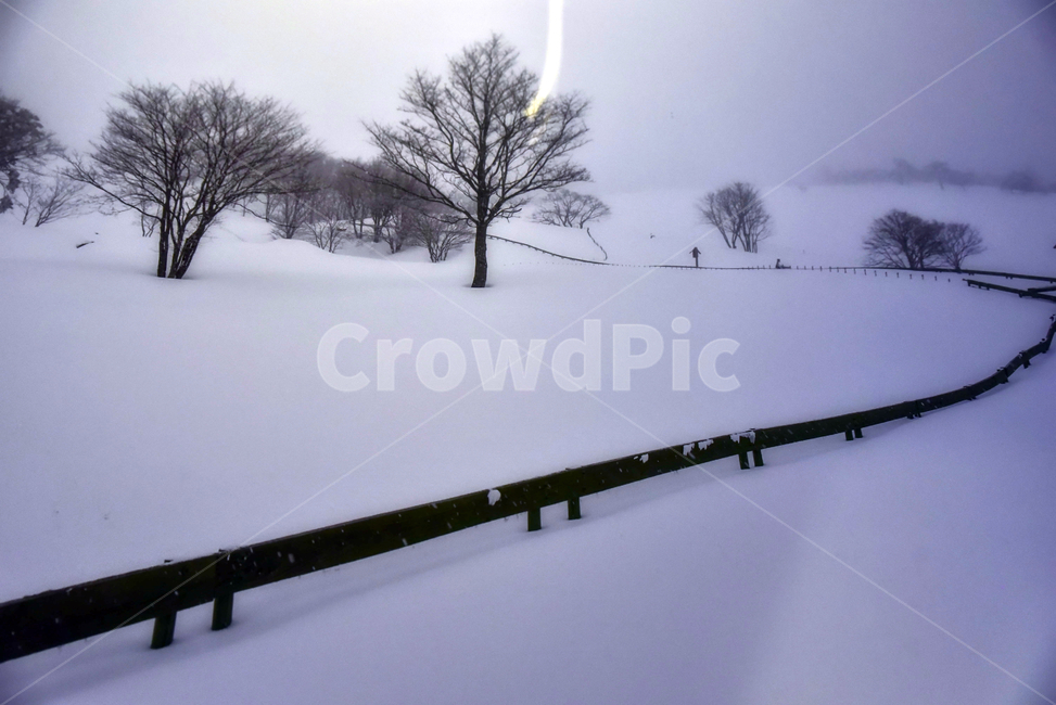 자연,옥외,snow,눈,겨울,winter,겨울,계절,winter,season,자연,풍경,nature,landscape,outdoors,storm,폭풍,blizzard,눈보라