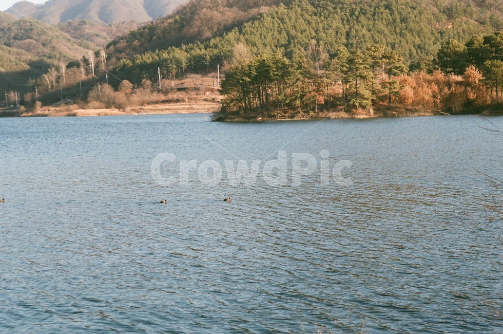 호수,겨울,자연,쓸쓸한,외로운,자연,풍경,nature,landscape,water,물,outdoors,옥외