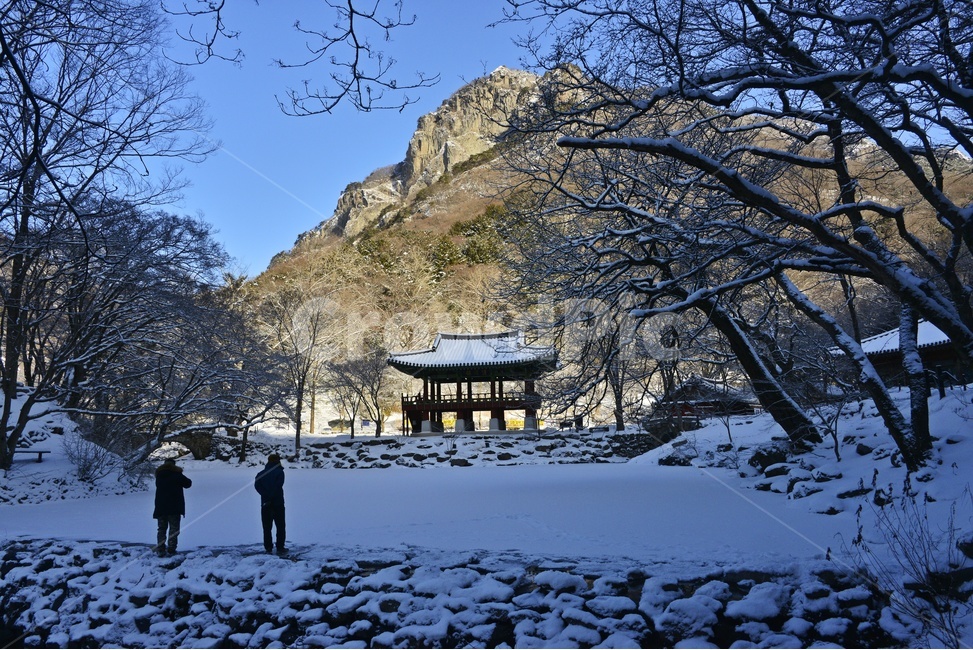 nature,outdoors,옥외,자연,장성,백양사,백양사설경,설경,백학봉,절,사찰,눈,human,인간,person,사람,쌍계루