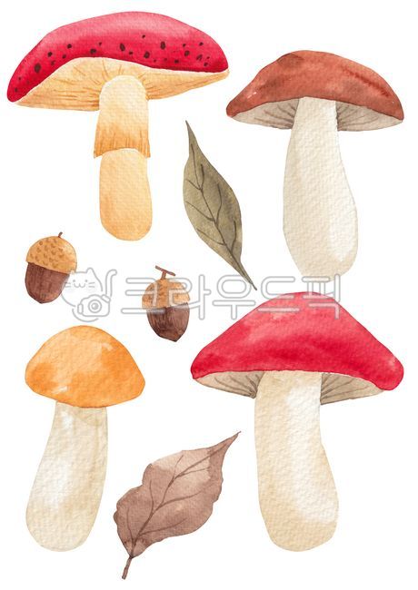 pattern,acorn,Maple leaf,fallen leaves,fall,drawing,season,drawn,mushroom,Maple,hand,handwork,nature,hand drawing,leaf,watercolor,painting,background,plant,illustration,autumn,Watercolor