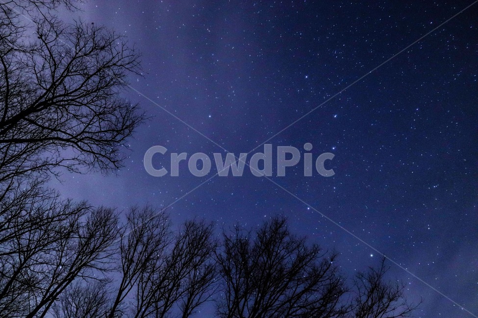 별,밤하늘,은하수,야경,나무,밤,별자리,야경,밤,풍경,nightscape,night,landscape,nature,자연,outdoors,옥외
