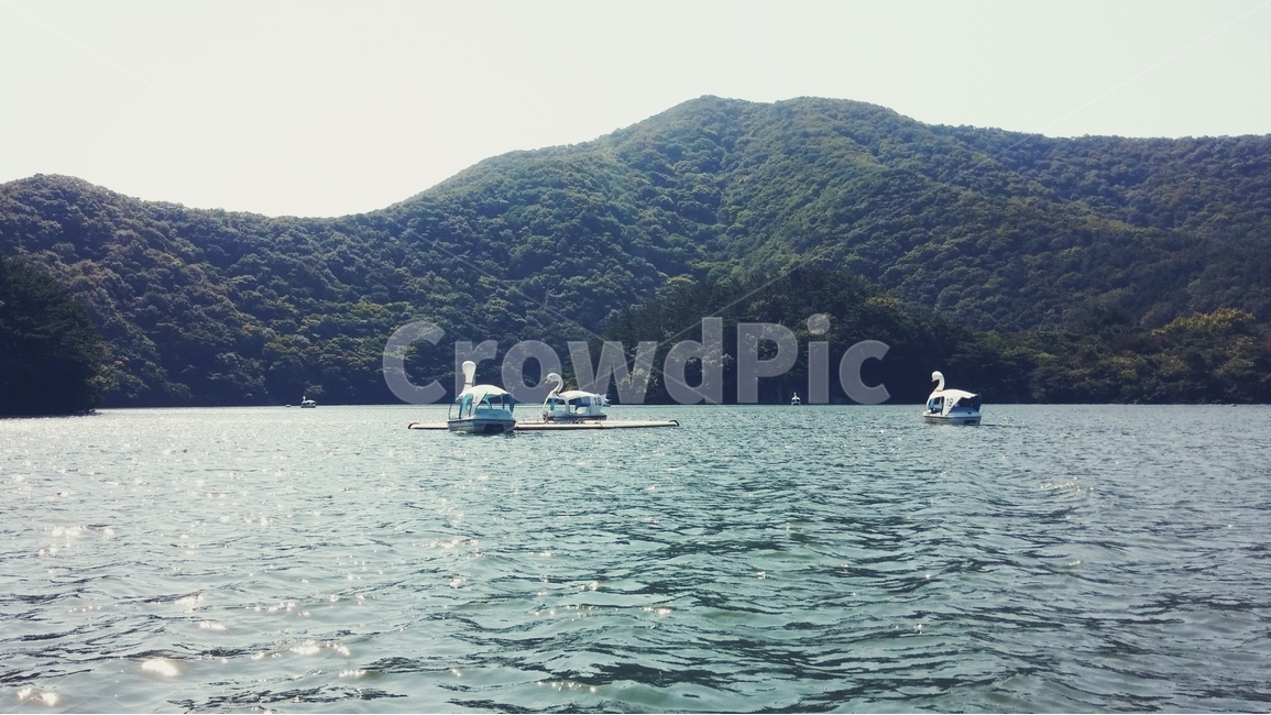 오리배,호수,산,하늘,boat,lake,자연,풍경,nature,landscape,transportation,교통,보트,vehicle,차량