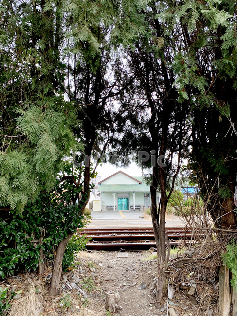 숲,forest,기찻길,기차역,나무,tree,train,trainroad,station,나무사이,수풀,풍경,국내여행,기차,동굴