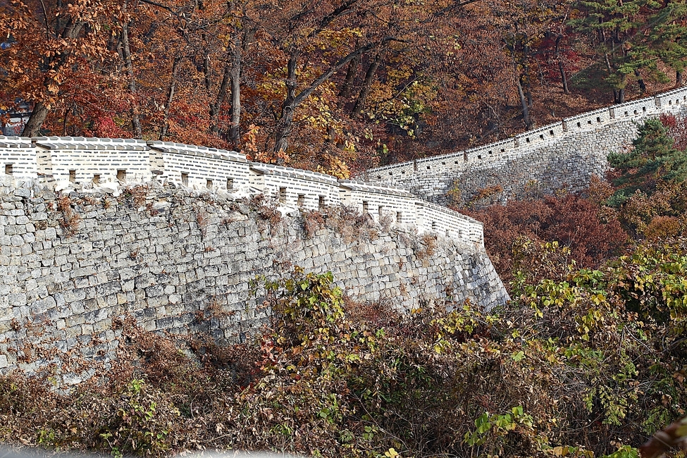남한산성,성,성곽,단풍,낙엽,길,둘레길,숲,숲길,담,돌담,가을,자연,풍경,벽,울긋불긋,산성,식물,가을,계절,fall,autumn,season,한국전통,한국문화,korean traditional,korean culture,ground,바닥