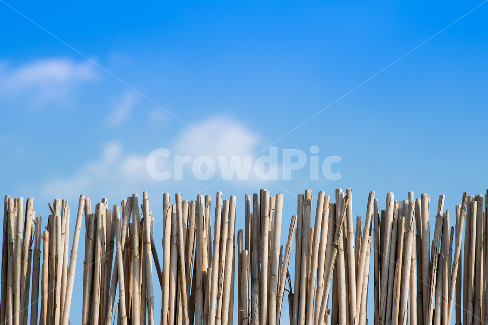 wood,나무,background,text,울타리,자연