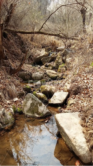계곡,계곡물,도랑물,물,산계곡,자연,풍경,nature,landscape,rubble,파편,ground,바닥