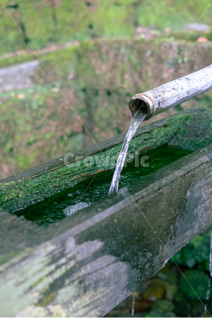 물방아,감성,이끼,자연,여름,자연,풍경,nature,landscape,사물,물건,오브젝트,thing,object,matter
