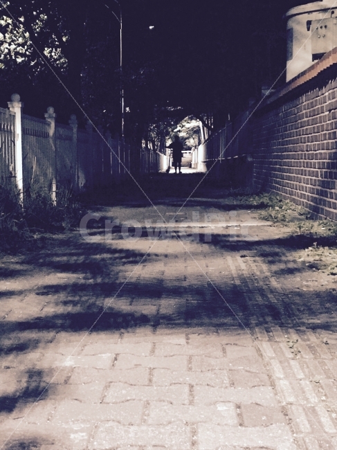 야간라이딩,운동,가로등,그림자,전동킥보드,나무,골목길,alley,사람,인물,인간,human,person,인물실루엣,사람실루엣,character silhouette,human silhouette,감성,sensible,feeling,고독함,외로움,쓸쓸함,우울함,슬픔,lonely,solitary,흑백,모노톤,monochrome,black and white,town,도시,road,도로,street,거리,urban,어반,building,건물,city,시티,path,통로