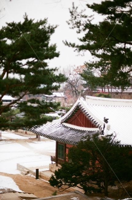 겨울,풍경,전통,필름사진,눈,행복,하늘,추억,대한민국,서울,tradition,tree,stails,winter,landscape,film,happy,sky,memory,korea,seoul,겨울,계절,winter,season,한국전통,한국문화,korean traditional,korean culture,랜드마크,landmark,tourist attraction,한국랜드마크,한국관광지,한국명소,korea landmark,korea tourist attraction