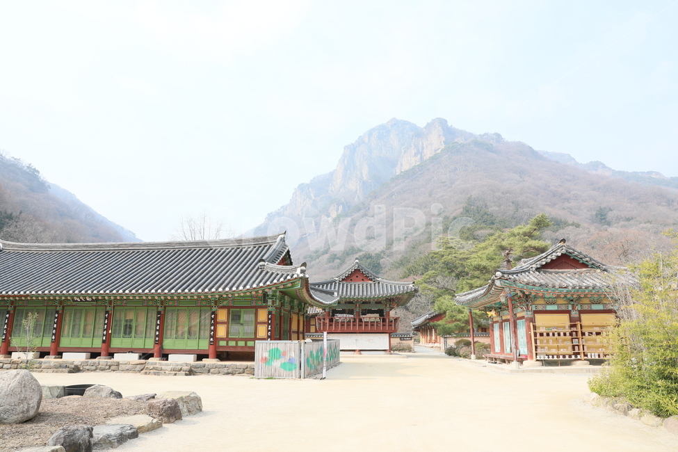 건물,building,architecture,건축물,temple,사찰,백양사