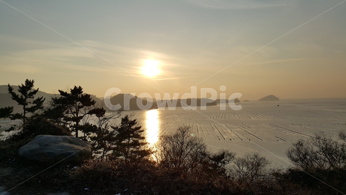 노을,바다,나무,노을풍경,염전,자연,풍경,nature,landscape,flare,플레어,light,빛,sunlight,햇빛,outdoors,옥외