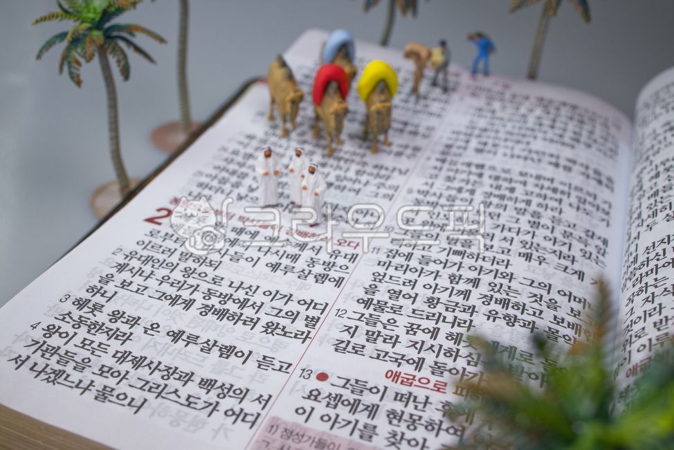 성경,신약성경,마태복음,예수탄생,동방박사,경배,예배,성경말씀,기독교,개신교,성탄절,크리스마스,성경공부,말씀,임마누엘,christmas,thebible,holybible,묵상,종교,신앙,religion,belief,faith