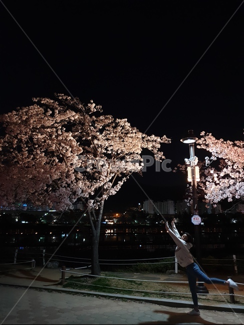 밪꽃,야경,날아라,포즈,활발,생기