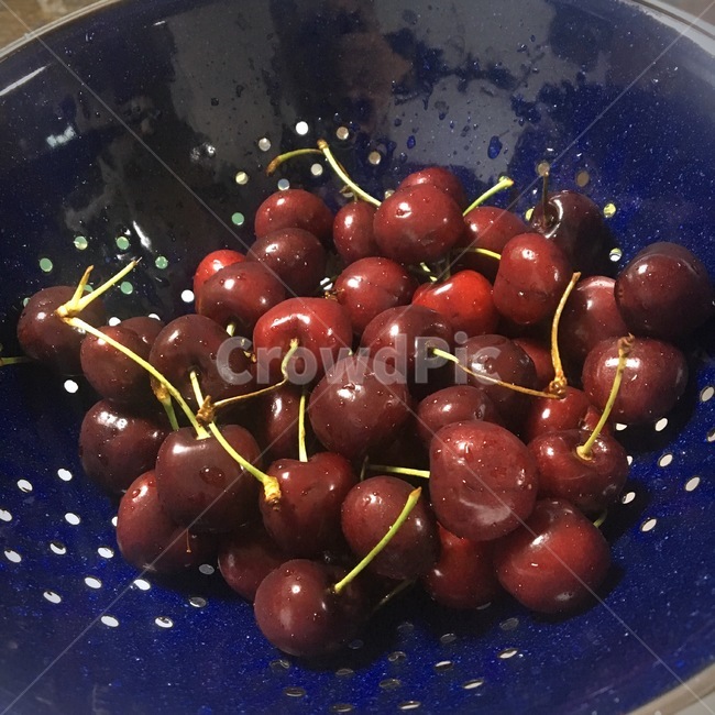 체리,chrerry,앵두,fruit,과일,음식,물기,물방울,색깔